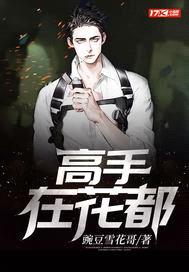 高手在花都封面