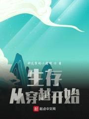 生存从穿越开始封面