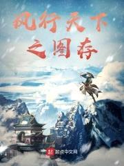 风行天下之图存封面