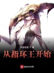 从指环王开始封面