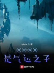 我觉得我是气运之子封面