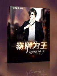 霸婿为王封面