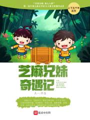 芝麻兄妹奇遇记封面