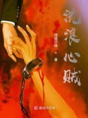 流浪心贼封面