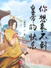 皇帝的快乐，你想象不到封面