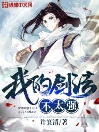 我的剑法不太强封面