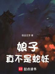 我家娘子不是妖封面