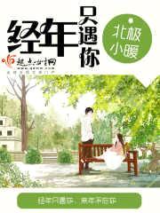 经年只遇你封面
