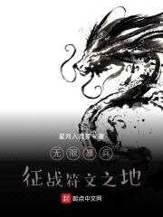 无限暴兵：征战符文之地封面