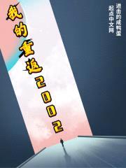 我的重返2002封面