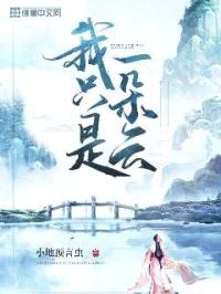 我只是一朵云封面