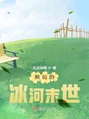 我们的冰河末世封面