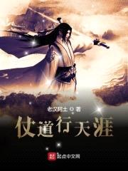仗道行天涯封面