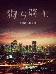 狗与骑士封面