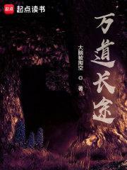 万道长途封面