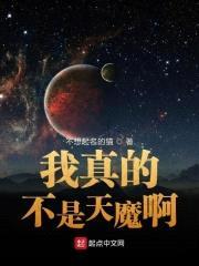 我真的不是天魔啊封面