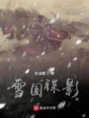 雪国谍影封面