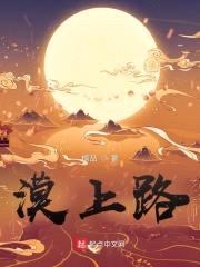 漠上路封面