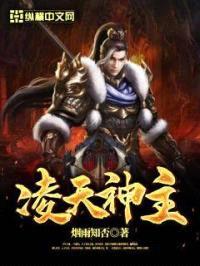 凌天神主封面