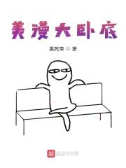 美漫大卧底封面