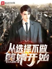 从选择不做赘婿开始封面