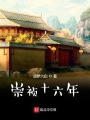 崇祯十六年封面