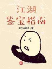 江湖鉴宝指南封面