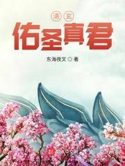 清玄佑圣真君封面