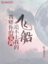 我赌你的宝剑追不上我的飞船封面