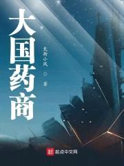 大国药商封面
