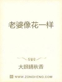 老婆像花一样封面