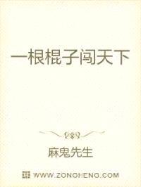 一根棍子闯天下封面