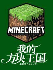 我的方块王国封面