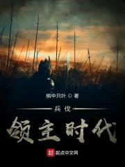 兵伐领主时代封面