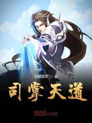 司掌天道封面