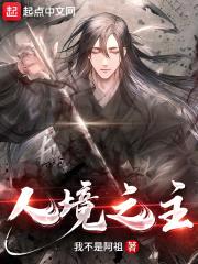 人境之主封面