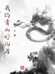 我的靠山好几座封面