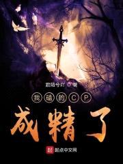 我磕的CP成精了封面