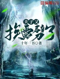 夫子又挨雷劈了封面