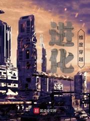 进化维度穿越封面