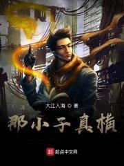 全职业大宗师封面