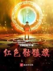 红色骷髅旗封面