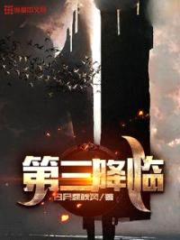 第三降临封面