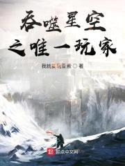 吞噬星空之唯一玩家封面