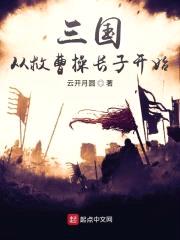 三国从救曹cao长子开始封面