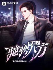 穿越之驰骋八方封面