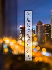 你是长夜绚烂的灯火封面