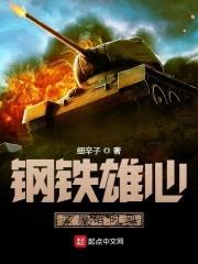 钢铁雄心之黑暗时刻封面