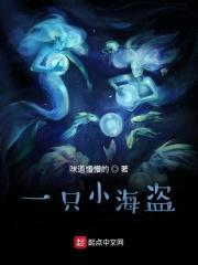 一只小海盗封面