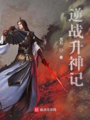 逆战升神记封面